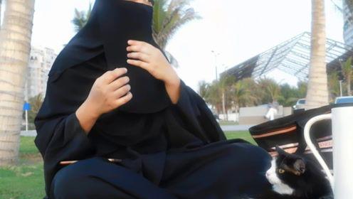 娱乐吃瓜君干嘛了,揭秘他为何成为焦点人物